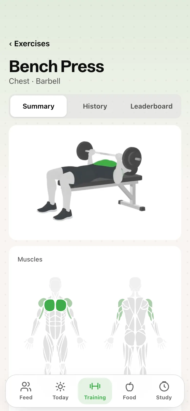 The bench press, illustrated, with the muscles it works